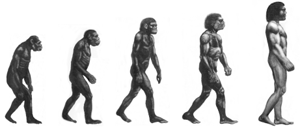 20090201122049-la-evolucion-humana33.gif