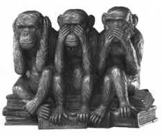 20100714155402-ignorancia.jpg